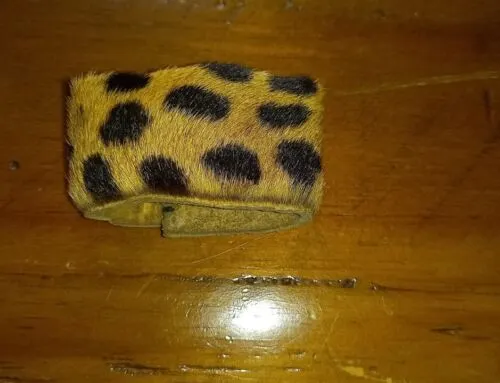 Boy Scouts of South Africa. Senior Scout  Leopard skin woggle 1955 - 1960