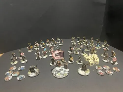 Saga Viking warband 8-10 points, pro painted, includes dice & fatigue markers