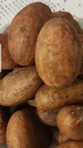 New Bitter Kola / Garcinia Kola Nuts - 100g Fresh From Nigeria African Herb