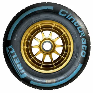 3029 MAX VERSTAPPEN CARLOS SAINZ TORO ROSSO STR10 F1 WHEEL PIRELLI F1 TYRE F1