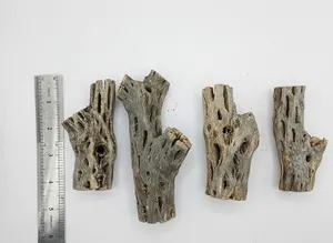 4x New Cholla Cactus Wood Mixed Length - Aquariums Shrimp Aquascape Parrot